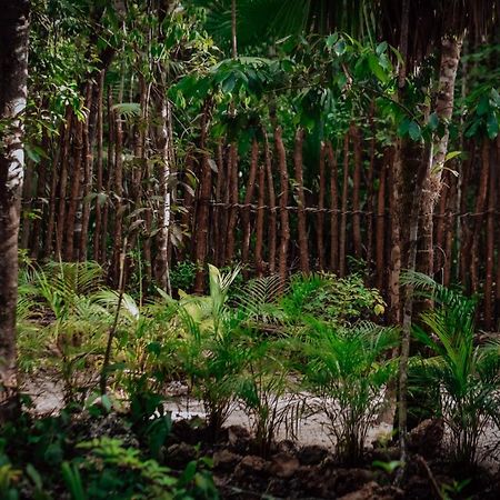 Lunita Jungle Experience Hotel Puerto Morelos Kültér fotó