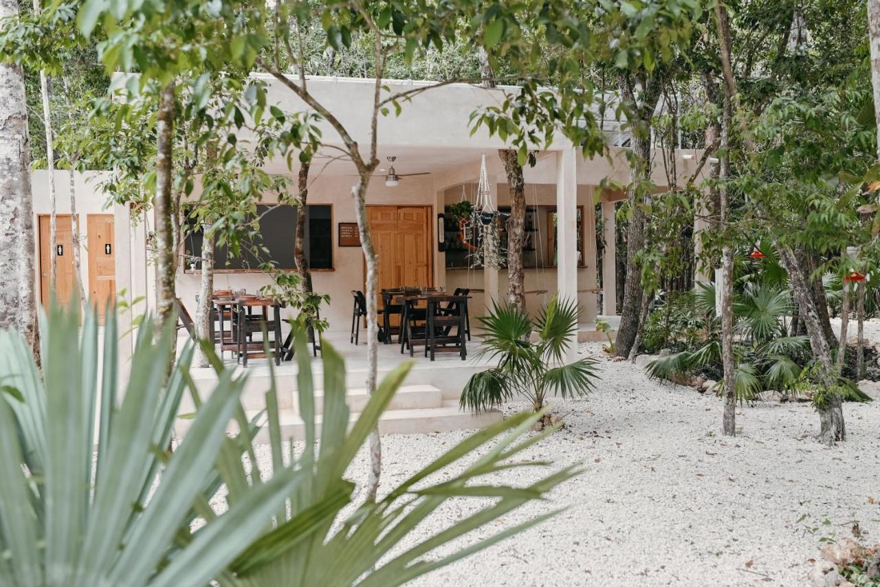 Lunita Jungle Experience Hotel Puerto Morelos Kültér fotó