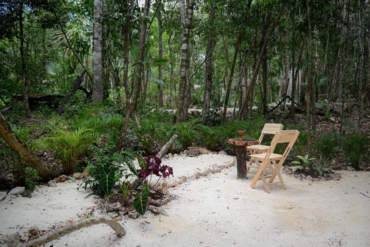 Lunita Jungle Experience Hotel Puerto Morelos Kültér fotó