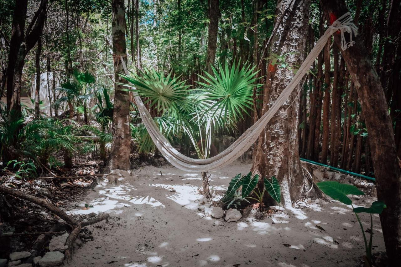 Lunita Jungle Experience Hotel Puerto Morelos Kültér fotó