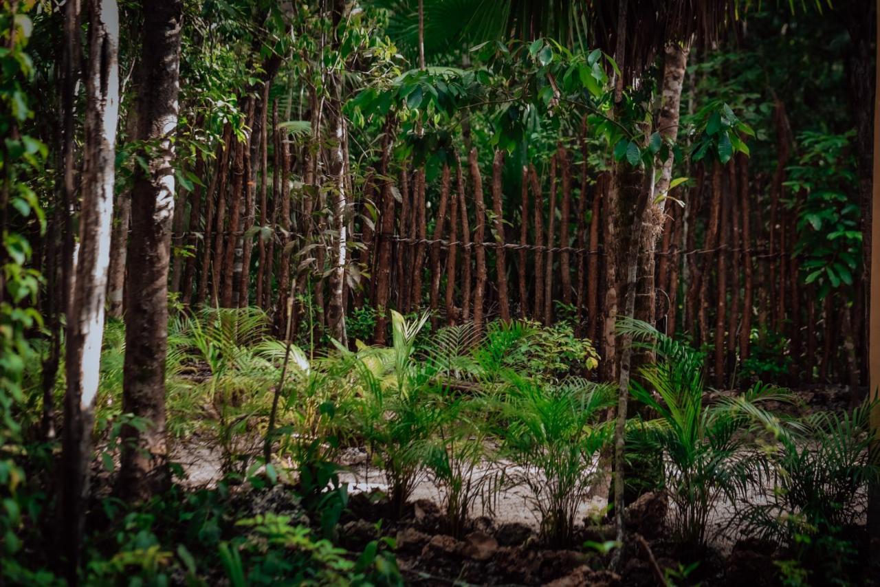 Lunita Jungle Experience Hotel Puerto Morelos Kültér fotó