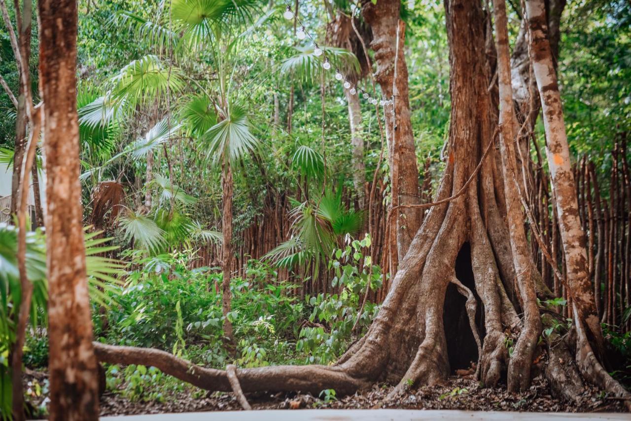 Lunita Jungle Experience Hotel Puerto Morelos Kültér fotó